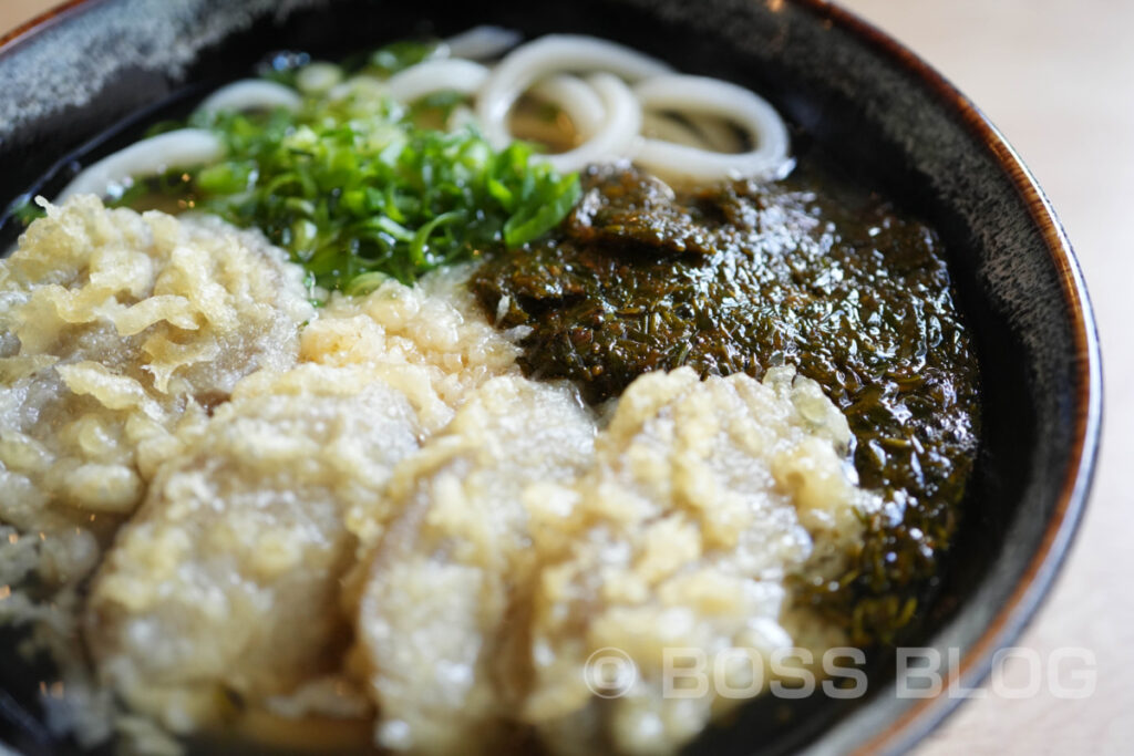 手打ちうどんよしの・アカモクうどん・ごぼう天