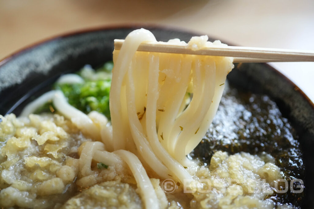 手打ちうどんよしの・アカモクうどん・ごぼう天