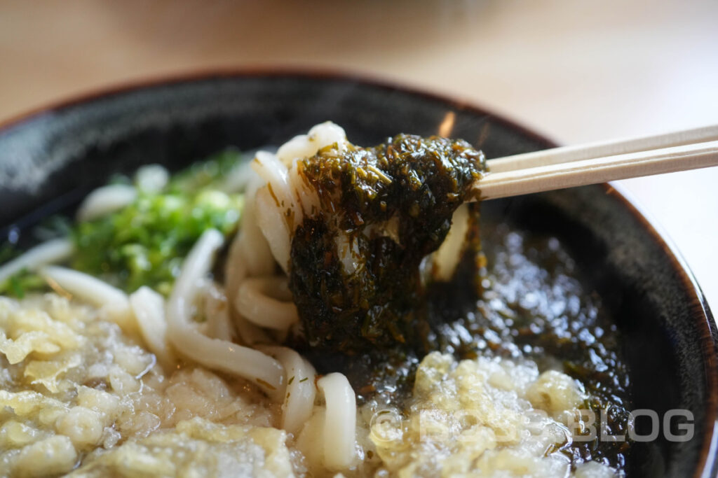 手打ちうどんよしの・アカモクうどん・ごぼう天